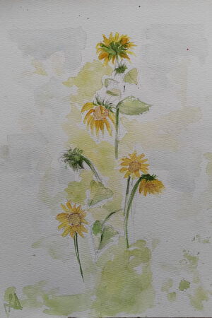 Acquerello "Raggi di Girasole"